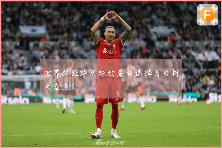 世界杯让球买球的最佳选择与分析大盘点