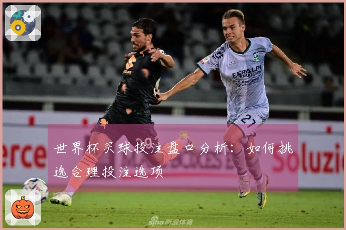 世界杯买球投注盘口分析：如何挑选合理投注选项