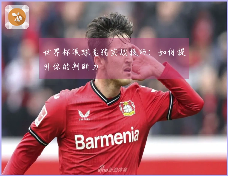 世界杯滚球竞猜实战技巧：如何提升你的判断力