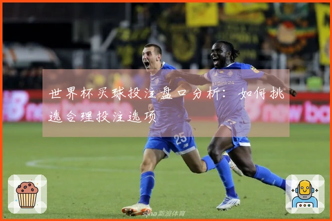 世界杯买球投注盘口分析：如何挑选合理投注选项