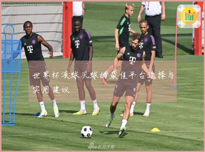 世界杯滚球买球的最佳平台选择与实用建议